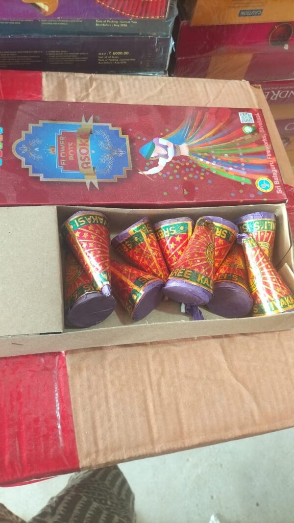 Flower Pots Ashoka - Box