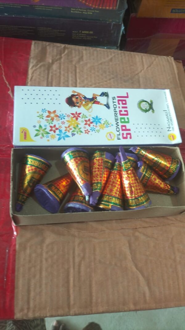 Flower Pots Special - Box
