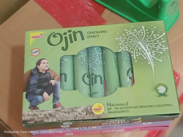 Ojin